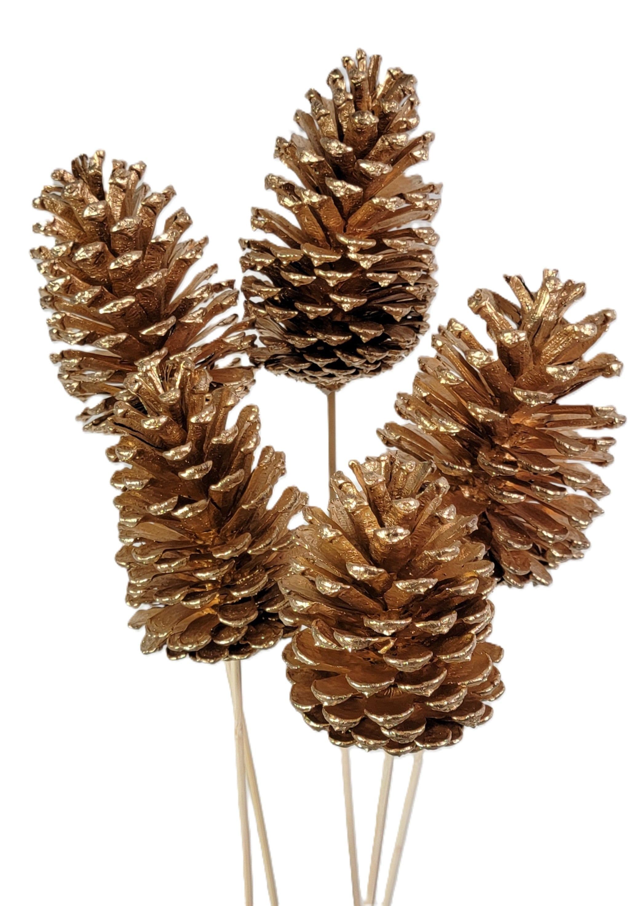 Pine Cone Reg Metallic Gold
