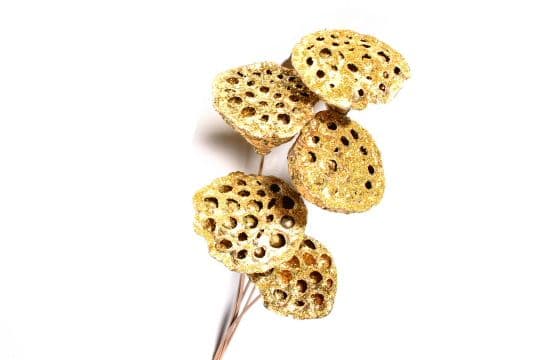 Lotus Pod Glittered Gold
