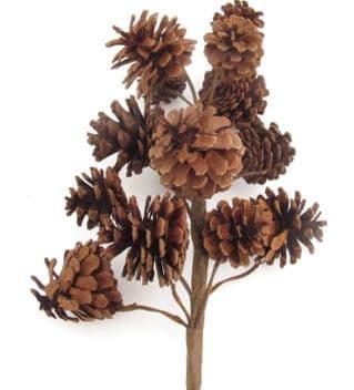 Pine Cone Multi Spray Natural 24"