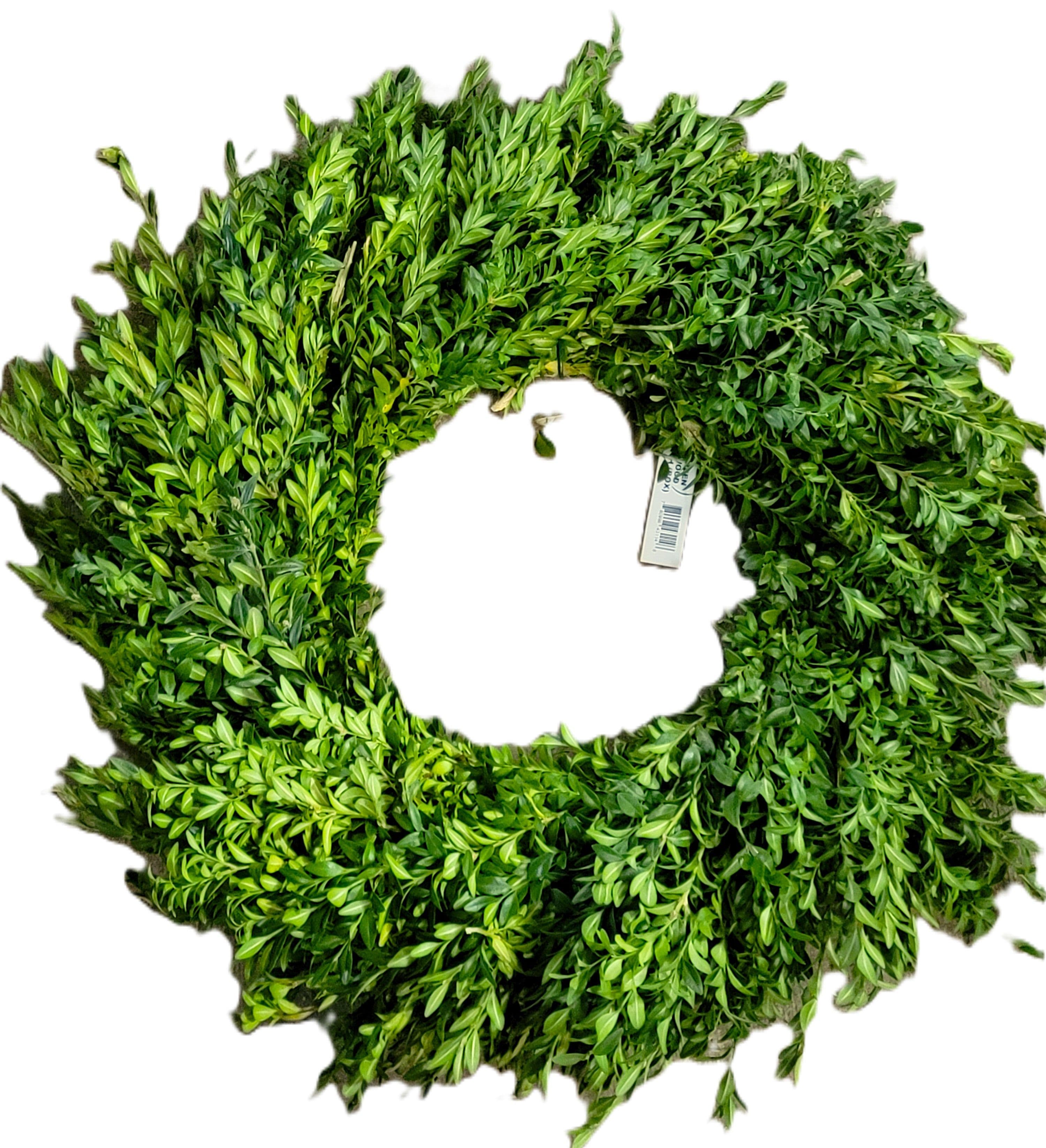 Boxwood 24" Wreath