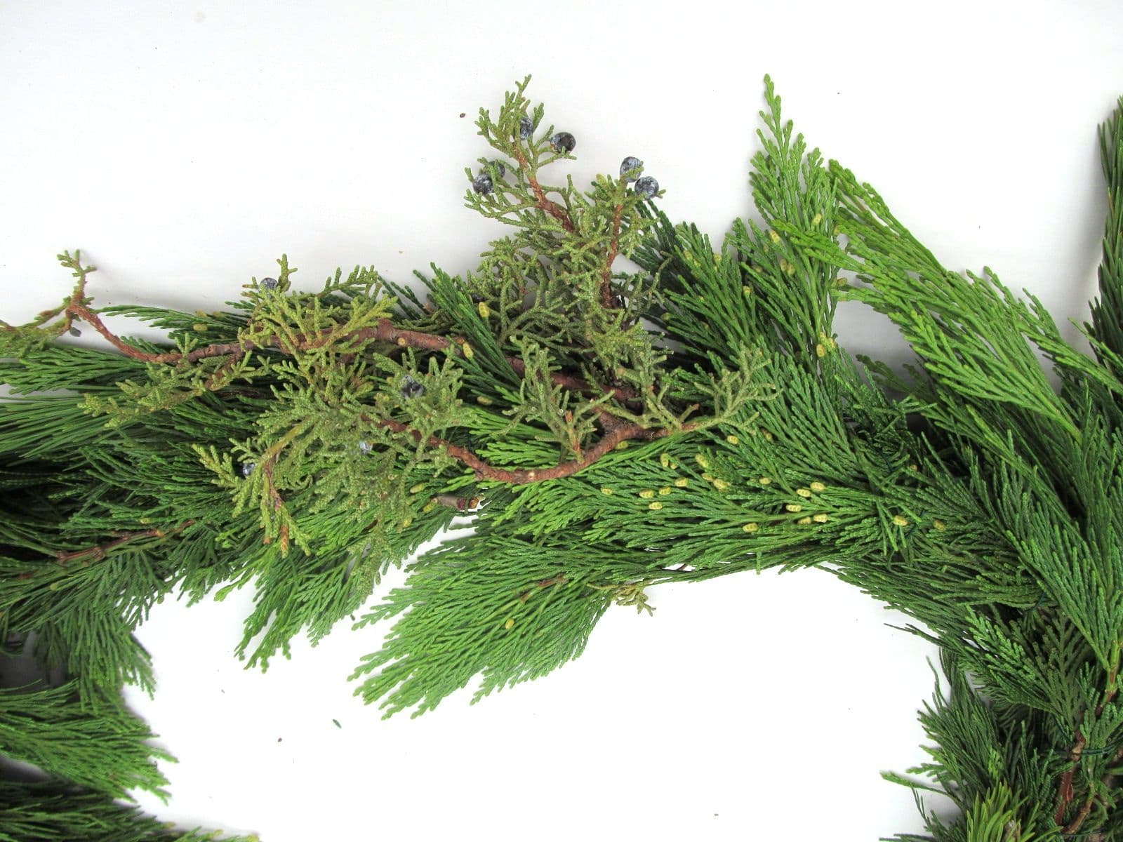 Mixed Noble/Cedar/Boxwood 75' Garland