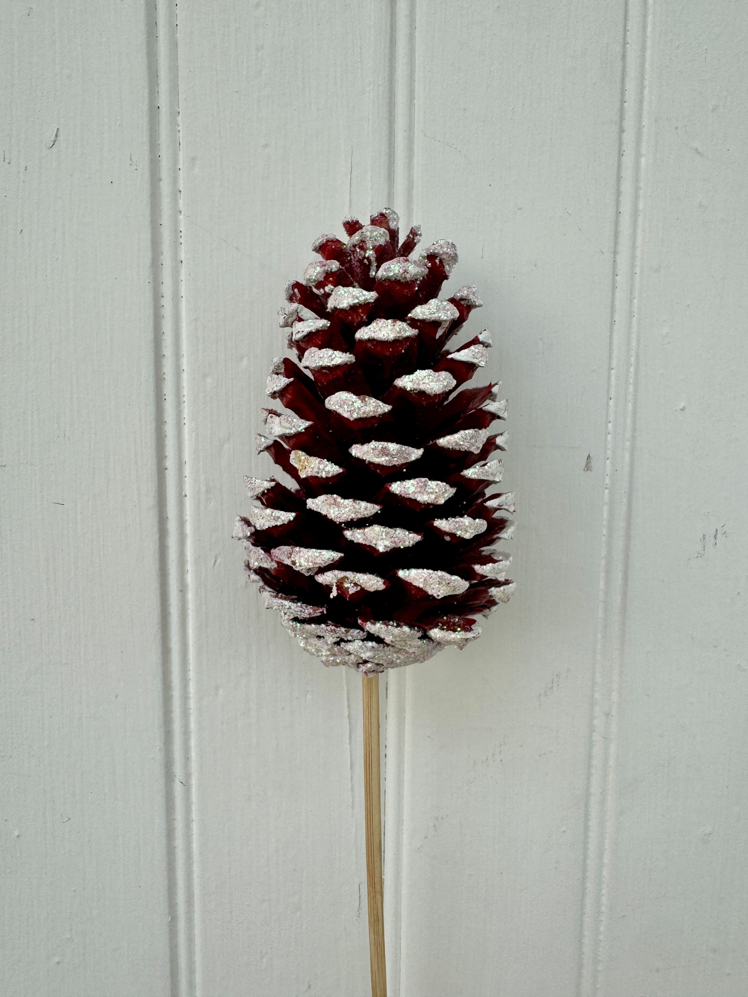 Pine Cone Reg Red W/ White Tip
