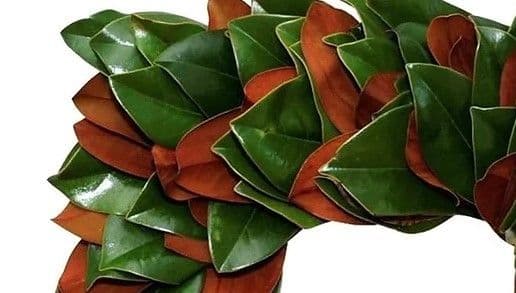 Mixed Noble/Cedar/Juniper 25' Garland