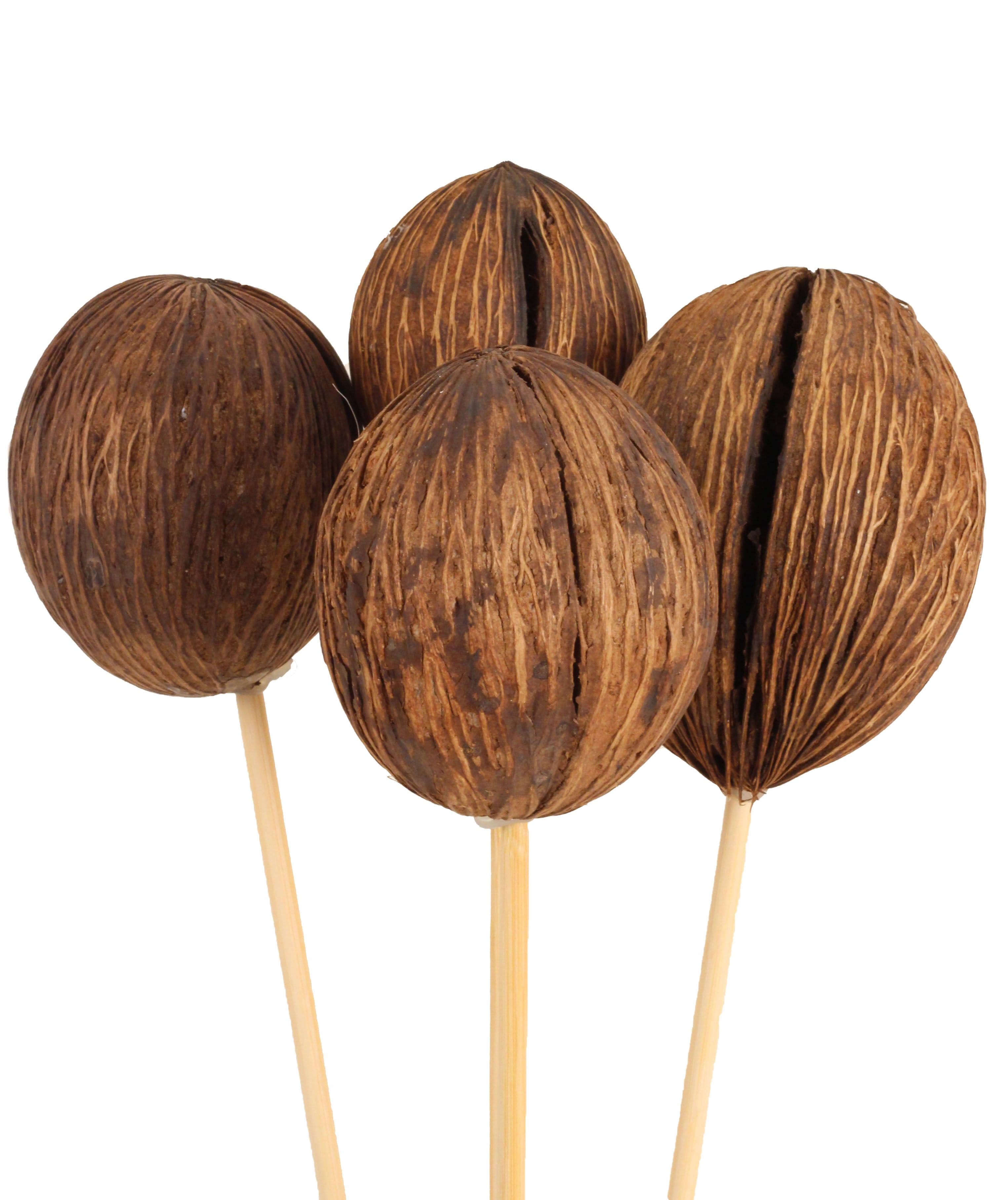 Mintolla Balls Dried Natural