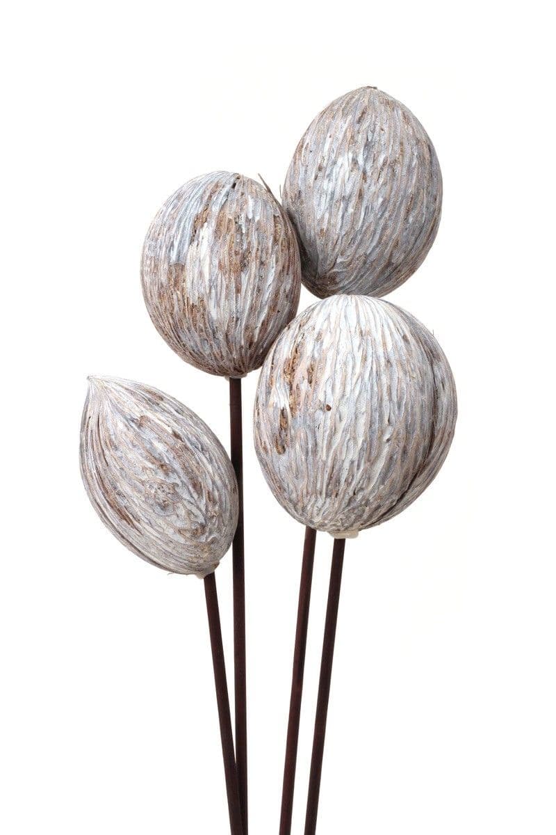 Mintolla Balls Dried White Wash
