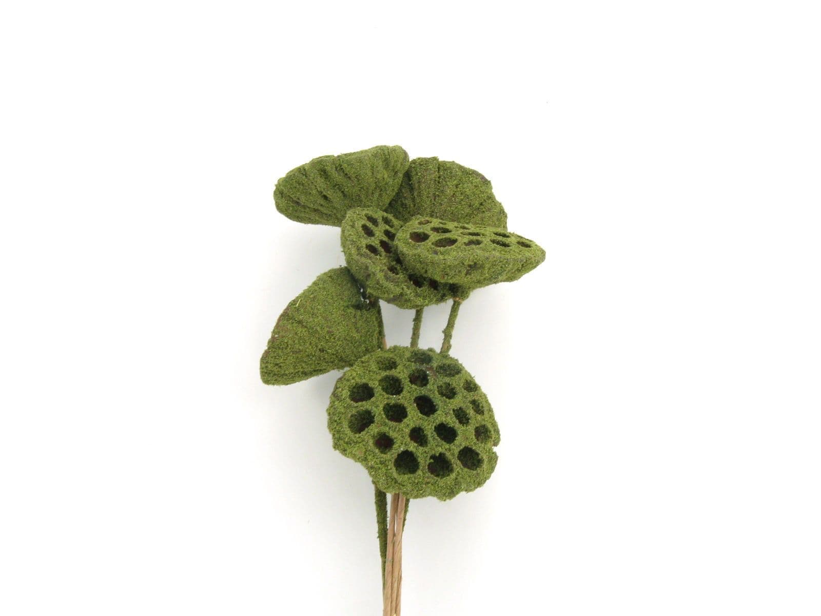Lotus Pod Moss Covered 18"