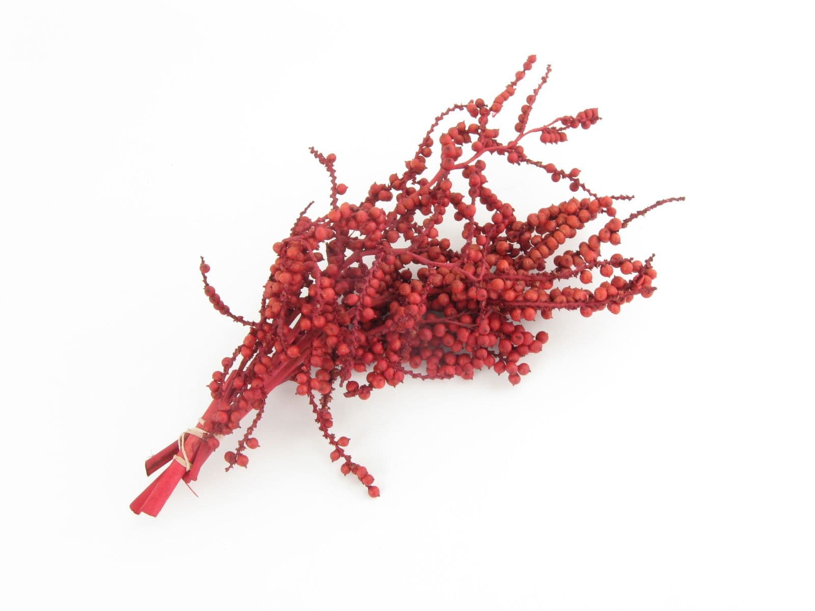 Berry Canella Dried Red