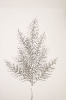 Picture of Fern Spray Silver 23"