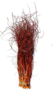 Picture of Curly Willow Medium Copper Red 48"-60"