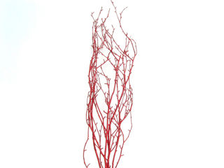 Picture of Birch Large Glittered Red 36"48"